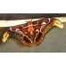 Giant Atlas Moth Attacus atlas dormant WINTER cocoons from Thailand
